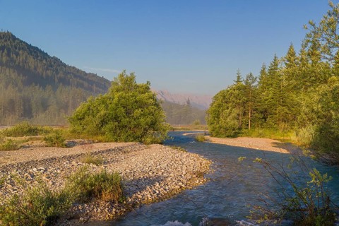 Isar valley nature conservancy area. The wild Isar river flows through its gravel bed past