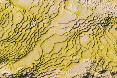 Patterns on ground rock created by water erosion, Waiotapu Thermal Park, Waiotapu, Rotorua, Bay of