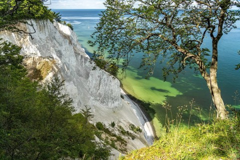Cliffs and chalk cliffs Møns Klint, Mön Island, Denmark
