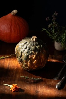 An artistic still life captures rustic autumn vibes with textured gourds, vibrant herbs, and a