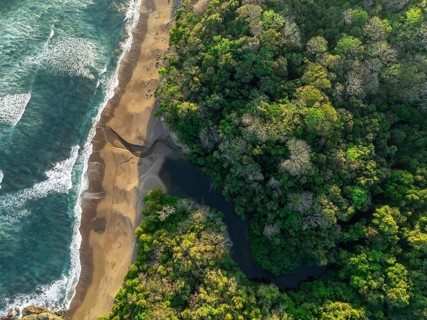 Aerial view, top-down, rainforest, sandy beach and coast with waves, Playa Cocalito, Puntarenas,