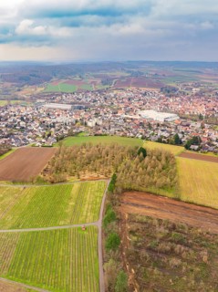 Town surrounded by fields and rolling hills under a hazy sky, Großbottwar, Ludwigsburg district,