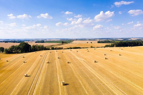 Straw bales on a harvested grain field from above, Nossen, Saxony, Germany