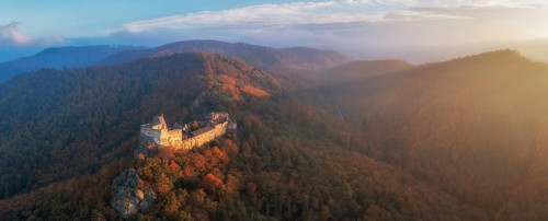 Aggstein castle ruins at sunrise, Schönbühel-Aggstein, Wachau, Lower Austria, Austria