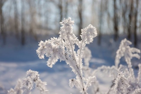 Hamm, North Rhine-Westphalia, Germany - Sunny winter landscape in the Ruhr area, ice and snow on