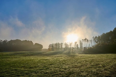 Meadow landscape, forest, sky, clouds, sunrise, beeches, Odenwald, Baden-Württemberg, Germany
