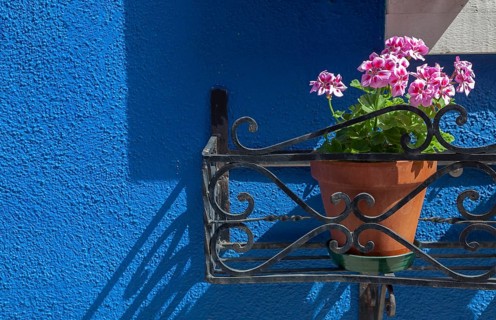 Bright blue house wall with blooming pink geraniums in a pot, mounted on an iron bracket, Burano,