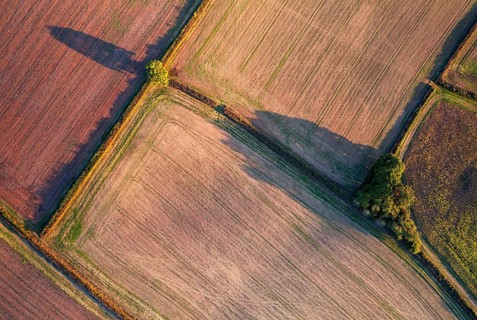 Top Down over Fields and Farmlands from a drone, Devon, England, United Kingdom