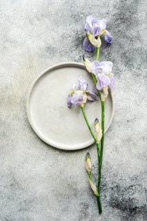 Top view of beautiful Iris flowers arranged beside a round grey plate on a textured concrete