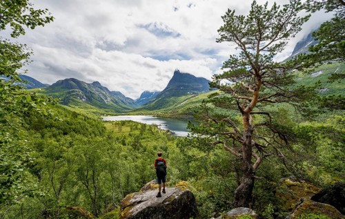 Young man standing on rocks, Innerdalen high valley with lake Innerdalsvatna, mountains, right