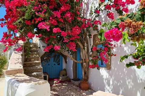 Mediterranean house with bright flowers and blue door in sunlight, Megalo Chorio, Zero Waste