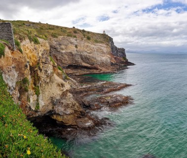 Otago Peninsula, Otago, Neuseeland
