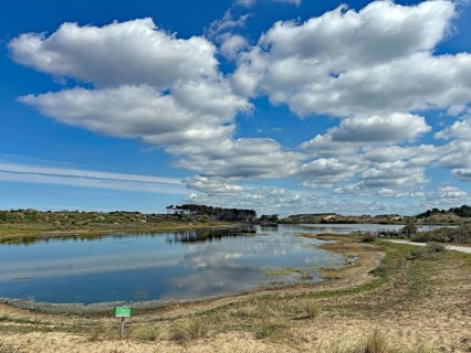 A calm lake with cloud reflections under a blue sky in a natural setting, Zuid-Kennemerland
