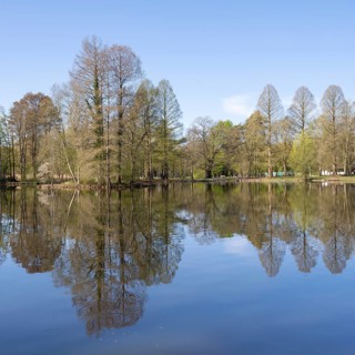 Ibrüggers pond in the municipal park, trees on the bank, reflection, Gütersloh, Westphalia, North