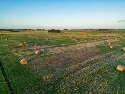 Aerial view of a rural landscape with numerous hay bales scattered across lush green fields under a