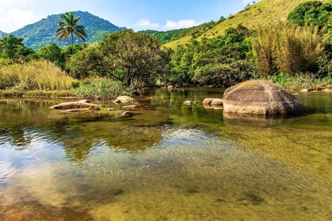 River that flows into Bonete beach on the island of Ilhabela on the coast of Sao Paulo, Ilhabela,