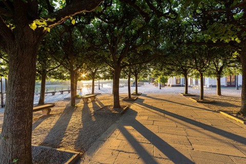 Brühl's Terrace, the low morning sun shines under the otherwise shady trees, Dresden, Saxony,