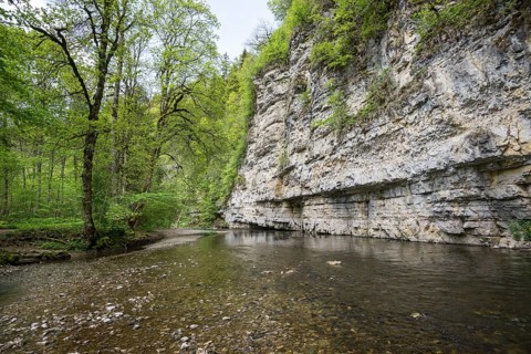 Steep cliffs and river, Wutach Gorge, Bonndorf, Baden-Württemberg, Black Forest, Germany