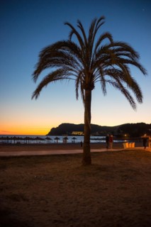 Date palm (Phoenix) in the foreground stands out against an orange sunset and dark blue night sky,