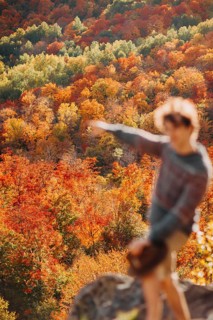 A man stands amidst the vibrant autumn foliage in Quebec, Canada, enjoying the stunning array of