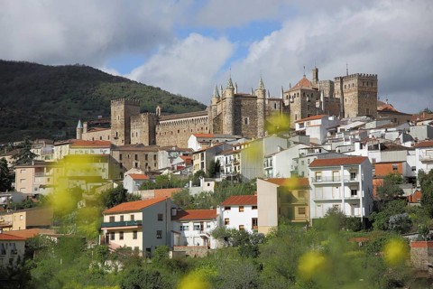 UNESCO Real Monasterio de Nuestra Senora, monastery complex, yellow flowers due to depth blur,