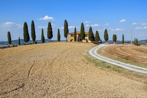 Cypresses in front of a country house, near Pienza, Val d'Orcia, Orcia Valley, Tuscany, Italy