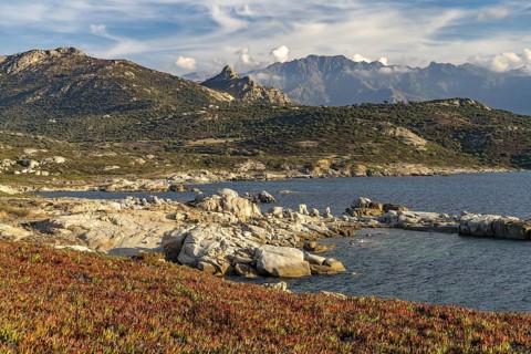 Landscape at Punta di Spanu near Lumio and the mountains, Corsica, France