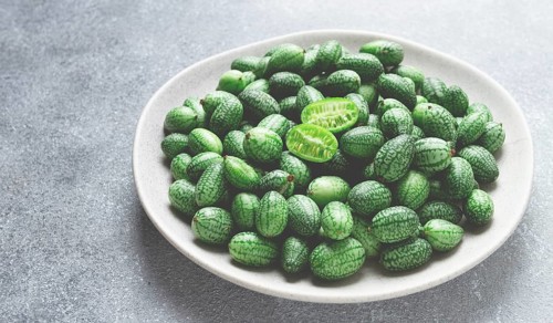 African cucumber, Mexican cucumber, mouse melon, Melothria
