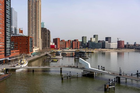 Kop van Zuid, Wilhelminapier, skyscrapers on the Nieuwe Maas, skyline of the city center, Rijnhaven