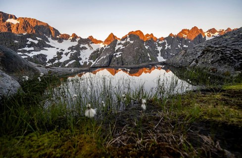 Rocky mountain peaks with snow, small pond with cotton grass in moor landscape at Trollfjord Hytta,