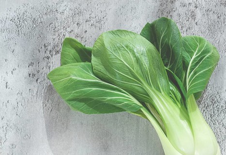 Fresh bok choy, laid out on a light gray surface, top view, natural light