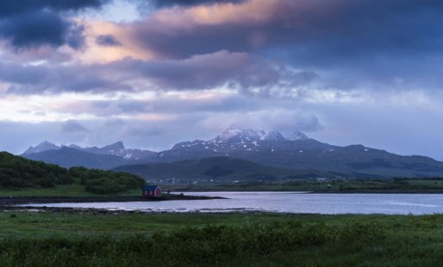 Landscape on the Lofoten Islands with meadows, sea and a small red hut, with other houses and