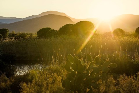 Sunset, Santa Maria Navarrese, Gulf of Orosei National Park, Baunei, Nuoro, Sardinia, Italy