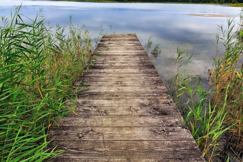 Old wooden footbridge, Gräser am Peenestrom, Karlshagen, Usedom Island, Germany