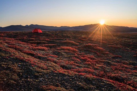 Morning light, sunrise, tent, camping, autumnal tundra, autumn colours, wilderness, mountain