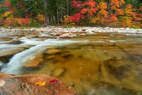 A river flows through a landscape with colourful autumn trees and stones on the banks, the leaves