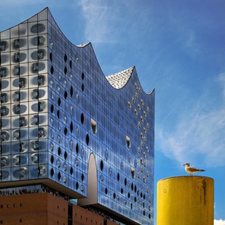 Elbe Philharmonic Hall with seagull, Hafencity, Hamburg, Germany