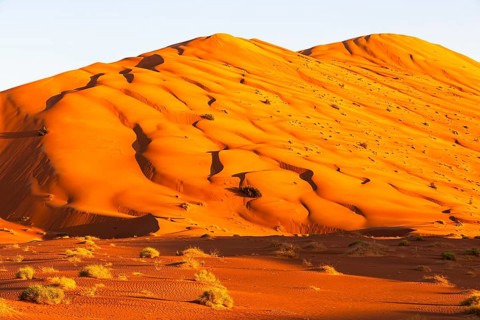 Wind-sculpted curved sand dunes in the evening light, in the Rub al Khali desert, Dhofar province,