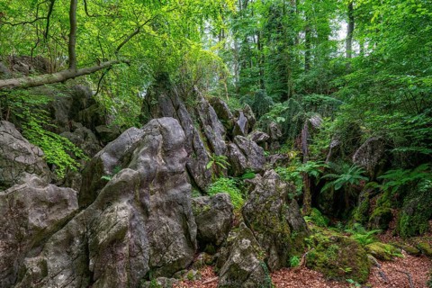 The Felsenmeer in Hemer, Sauerland, geotope, with rugged rock formations, nature reserve, North