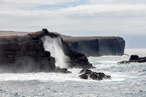 Coast, Galapagos, Ecuador
