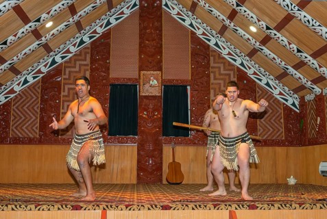 Maori welcome dance performance, Te Puia, Rotorua, Bay of Plenty, North Island, New Zealand