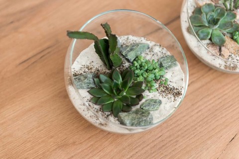 A charming succulent terrarium in a glass bowl rests on a wooden table. The arrangement combines