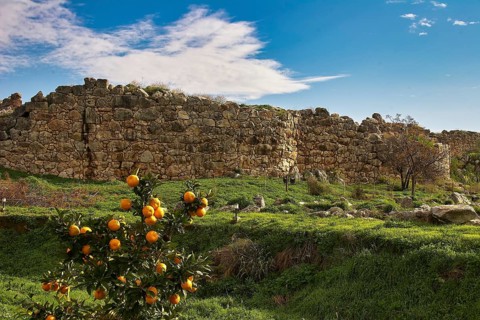 Cyclops wall stone wall in the countryside with orange tree and blue sky in the background, Tiryns,