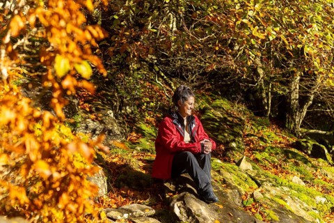 A woman enjoys a rest through vibrant autumn foliage in Gorbea Natural Park, Basque Country, Spain,