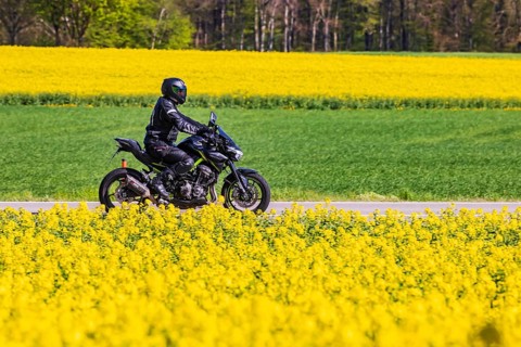 Country road on the Swabian Alb in spring by motorbike. Erkenbrechtsweiler, Baden-Württemberg,