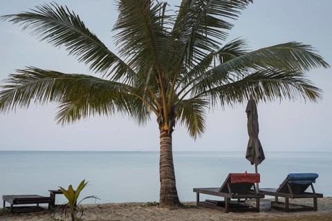 Beach with palm tree and reserved deckchairs in front of sunrise, Koh Chang, Andaman Sea, Southern