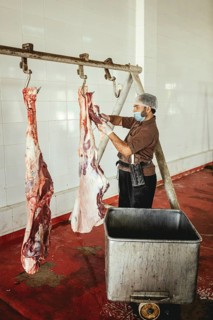 Cutting up a slaughtered dromedary (camelus dromedarius), camel slaughter, Salalah slaughterhouse,