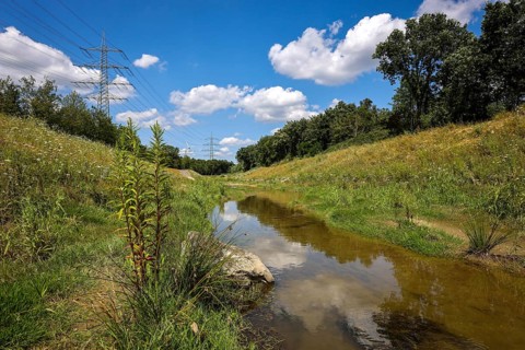 Bottrop, North Rhine-Westphalia, Germany, Renaturalised Boye, the tributary of the Emscher, has