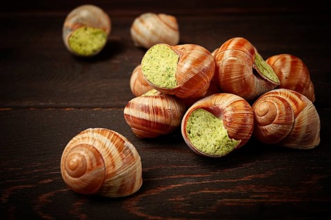 Grape snails, stuffed in burgundy, french cuisine