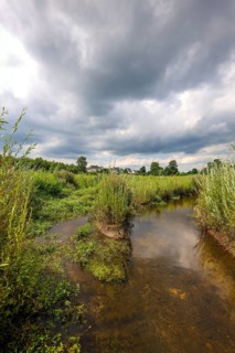 Bottrop, North Rhine-Westphalia, Germany - Renaturalised Boye, the tributary of the Emscher, has